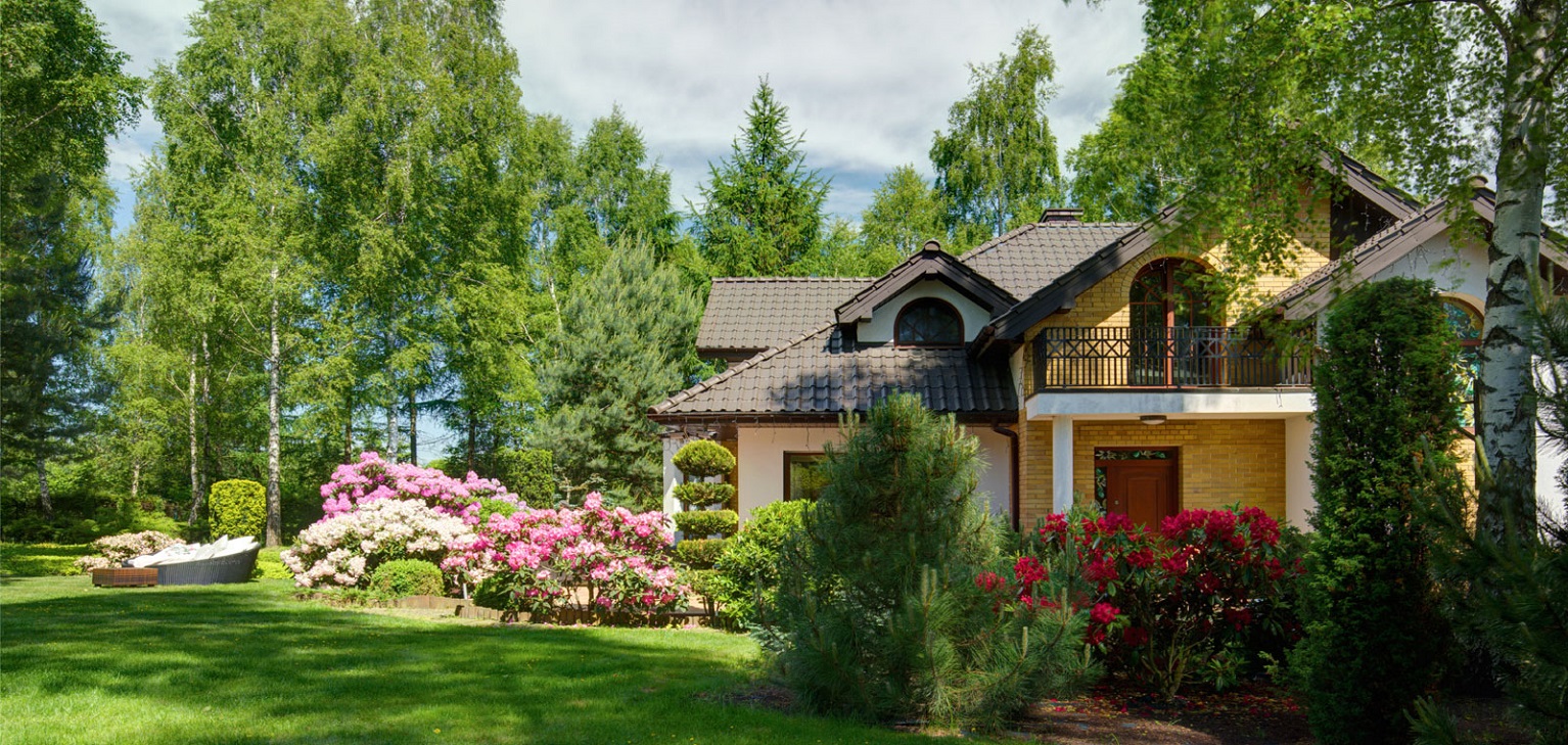 Your landscape 
the way it should be